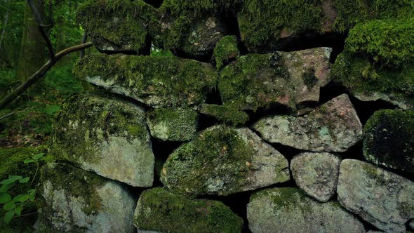 Passing Medieval Stone Wall In The Forest