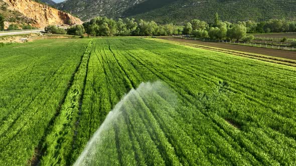 Farm Region Aerial View 4 K Alanya Turkey