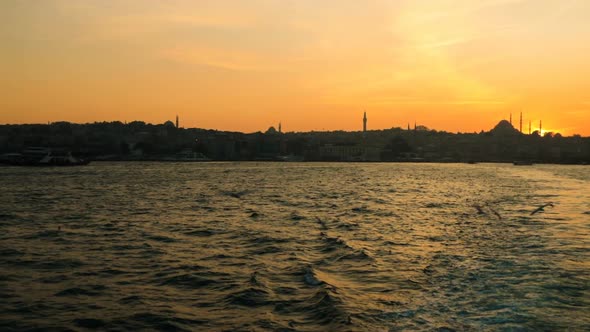 Seagulls in Sea at Sunset