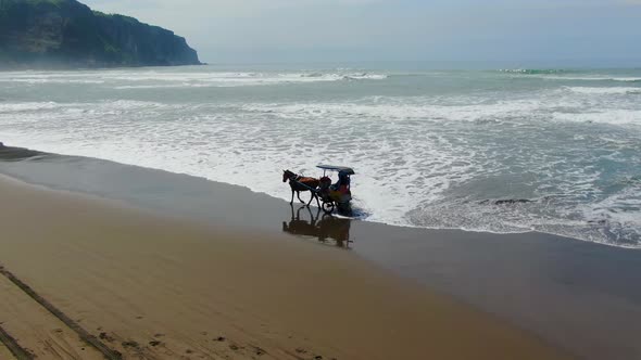 Aerial, traditional Javanese horse carriage on Parangtritis beach, Indonesia