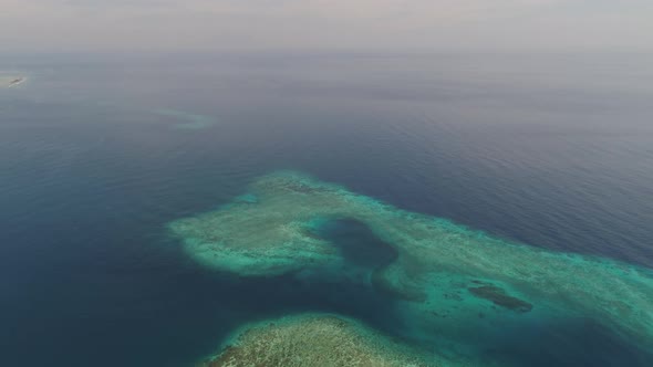 Seascape Coral Reef in Sea