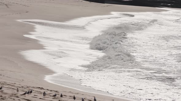 Slow motion waves roll through the whitewash onto a white sand beach