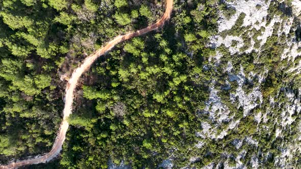 Road in the forest high in the mountains