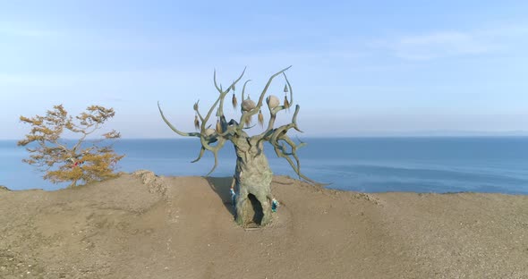 View of the landmark of Olkhon Island Baikal Keeper Tree Natural background