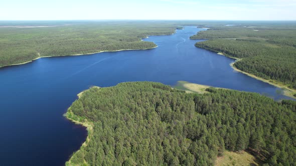 Flight Over the Taiga Forest Lake