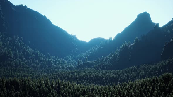 Mountain Forest Landscape Under Evening Sky