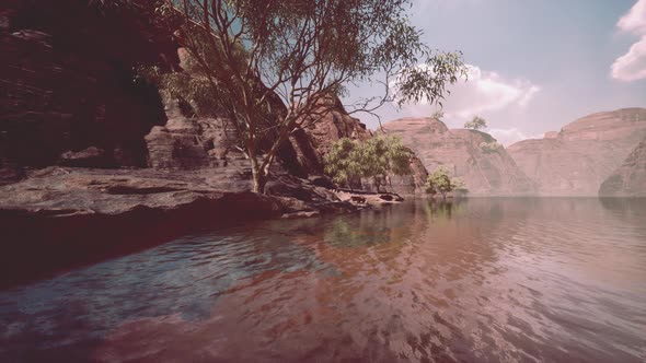 Lake Powell at Sunny Day in Summer