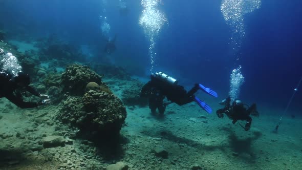 Three Scuba Divers Under Water in the Red Sea