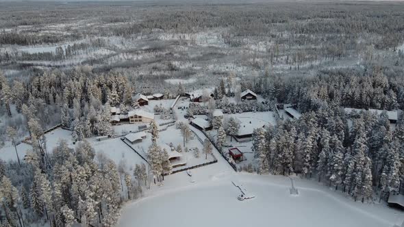 Beautiful Winter Forest Footage From Drone