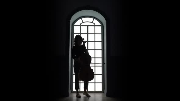 Musician Fingers Her Strings Playing the Cello. Silhouette