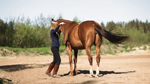 Young Female Equestrian Does Gymnastics with Brown Horse During Training