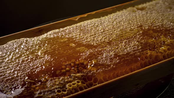 Honeycombs Rotate on a Glass Dish