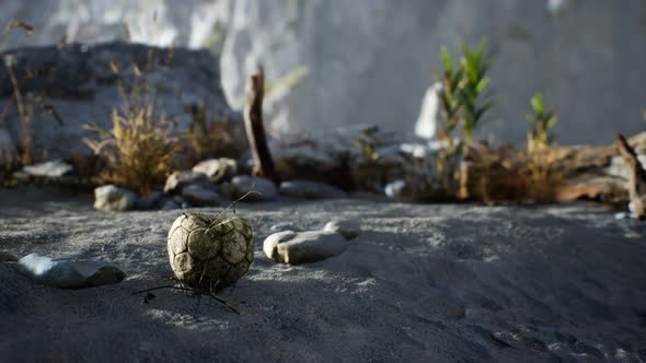 An Old Torn Soccer Ball Thrown Lies on Sand of Sea Beach alt