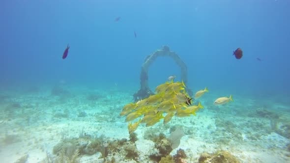 Diving in Cancun