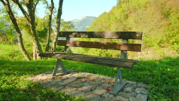 Bench in Autumn Park in Shade of Trees Against Mountain