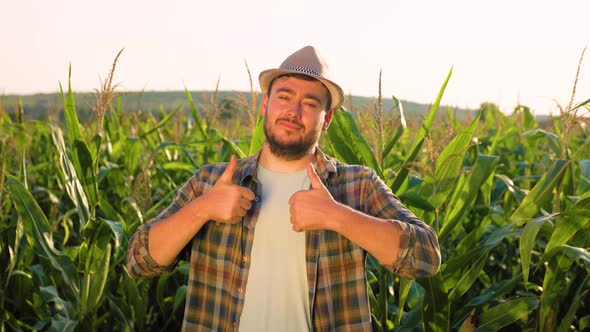 Smiling Young Man Agronomist Stand in Field Showing Thumb Up in Corn Field Looking at Camera