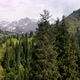 Aerial Forest Spruce in the Mountain of Almaty - VideoHive Item for Sale