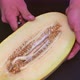 Slicing ripe melon with a kitchen knife. - VideoHive Item for Sale