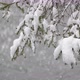 River Coast Covered with Snow - VideoHive Item for Sale