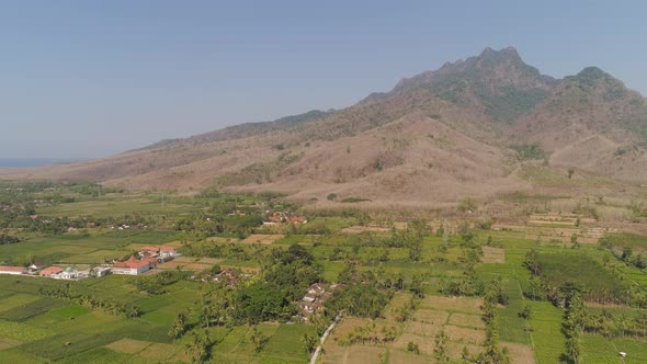 Agricultural Land in Indonesia