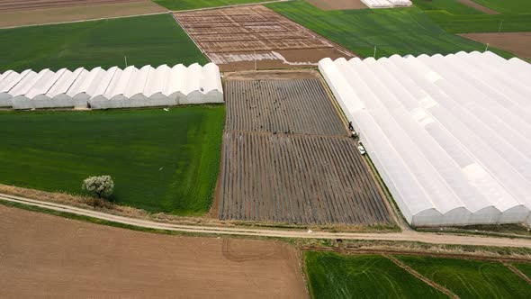 Greenhouse