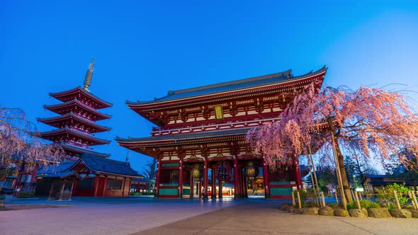 night to day time lapse of Sensoji Temple with spring cherry blossom in the morning, Tokyo, Japan