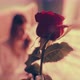 Rose flying to a vintage Woman - VideoHive Item for Sale