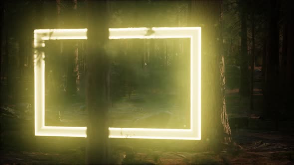 Neon Glowing Rectangle Frame in the Night Forest alt