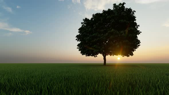 Gold One Tree at Sunset on Dark Background.