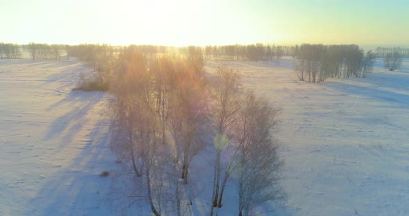 Aerial Drone View of Cold Winter Landscape with Arctic Field Trees Covered with Frost Snow and