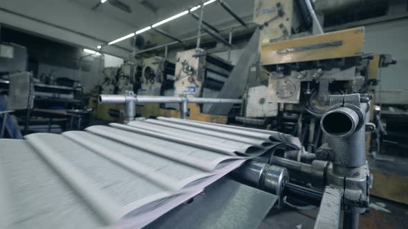 Paper with Printed Text Is Getting Transported By the Conveyor