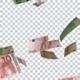 Falling Euro Banknotes With Alpha Channel In 4K Loopable Money Transparent Background - VideoHive Item for Sale