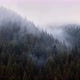 The Fog Spills Over the Spruce Forest Cold Rainy Weather - VideoHive Item for Sale