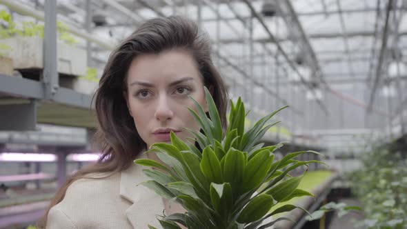 Portrait of Brunette Brown-eyed Caucasian Woman Standing in Glasshouse with Green Plant in Pot