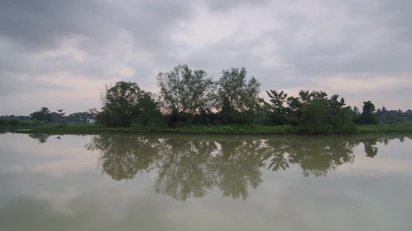 Sunset reflection of trees in the river Sungai Perai, Penang, Malaysia.