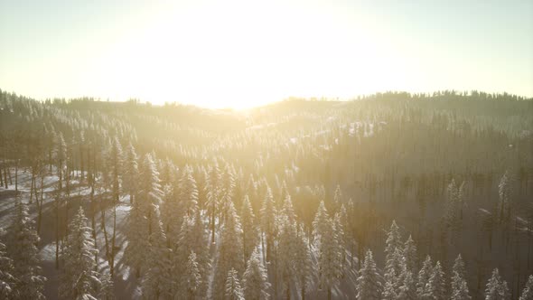 Colorful Winter Sunrise in the Mountains