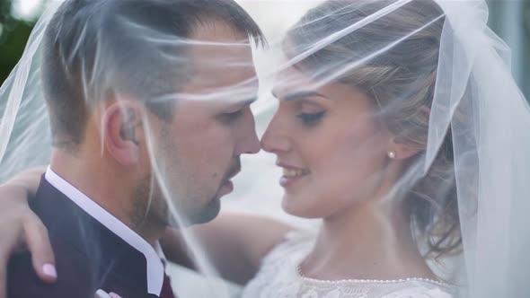 Wedding Couple on the Nature