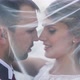 Wedding Couple on the Nature - VideoHive Item for Sale