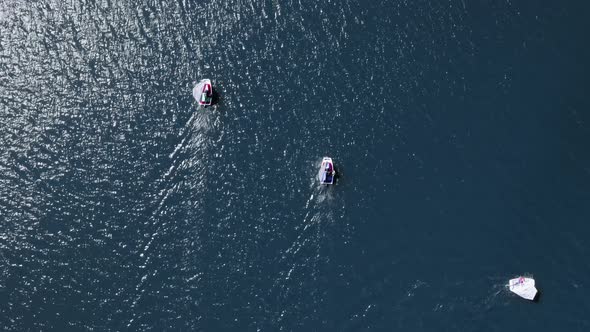 Top view of competition of sailing boats on the lake