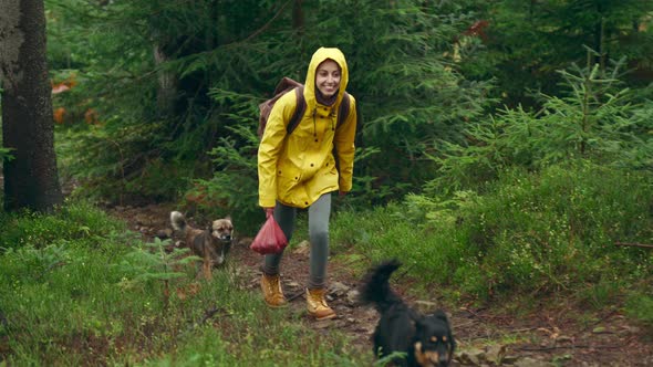 Woman Hiker in Yellow Jacket Walks with Dog By Trail in Autumn Forest