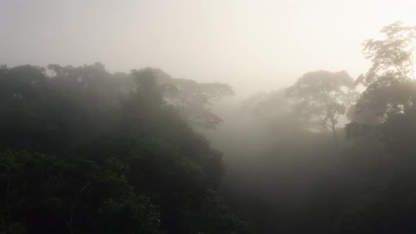 Aerial Drone View of Costa Rica Rainforest Canopy and Trees in Mist, Beautiful Misty Tropical Jungle