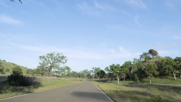 Ultra slow motion shot from car driving on road through beautiful park on sunny day in California