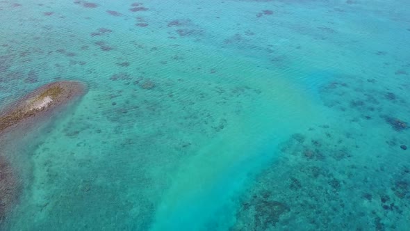 Drone aerial seascape of marine shore beach wildlife by blue ocean with sand background