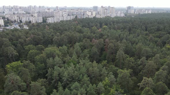 Aerial View of the Border of the Metropolis and the Forest. Kyiv, Ukraine