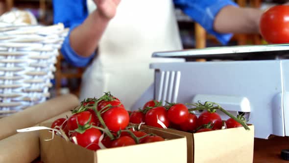 Female staff weighting tomatoes on scale in supermarket