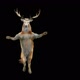 57 Deer Dancing HD - VideoHive Item for Sale