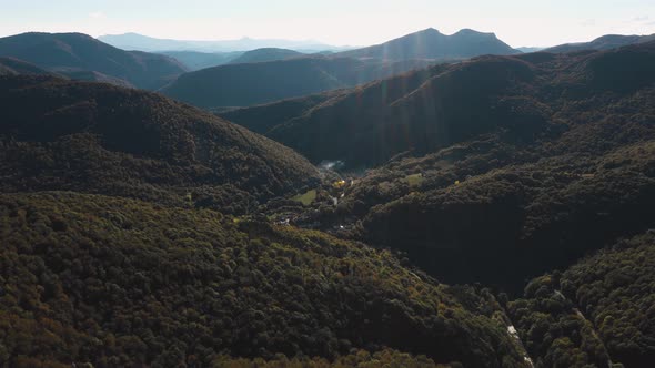 Aerial view of forest in Navarra, Spain