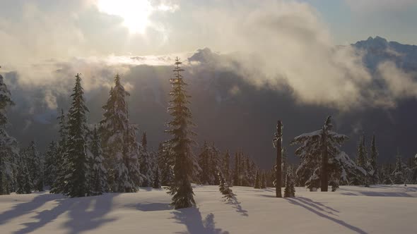 Panoramic View of Canadian Nature Landscape