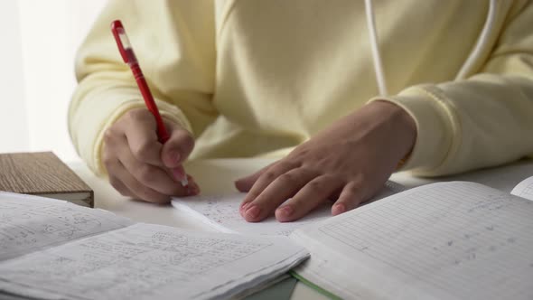 Young Ukrainian teen girl sitting at a table with notebooks, preparing for a European university