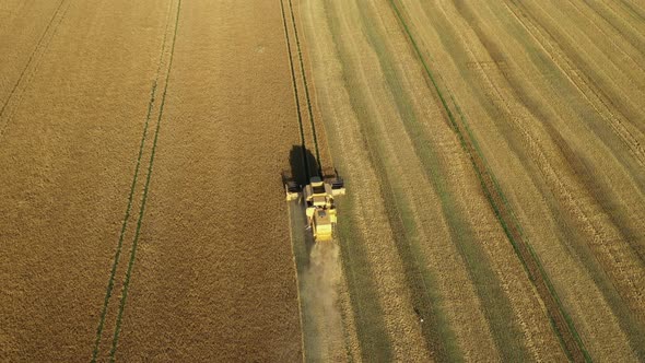 Aerial View Combine Harvesting Wheat
